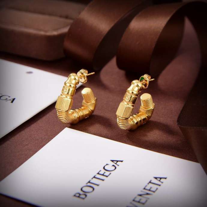 Picture of Bottega Veneta Earring _SKUBVEarring06cly112416